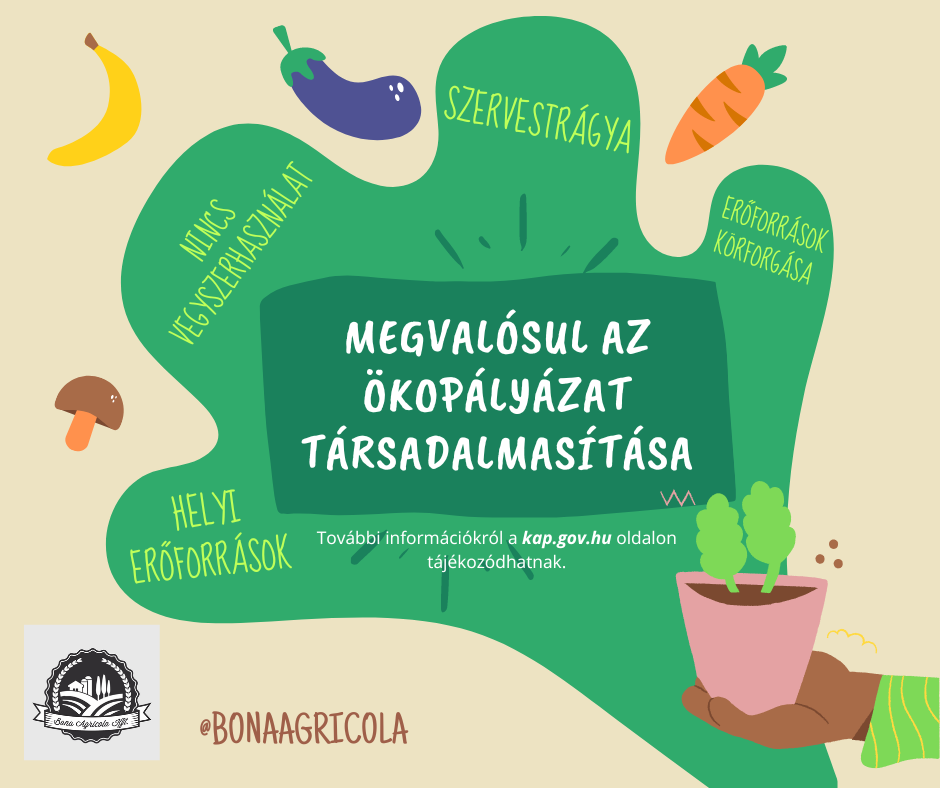 Ökopályázat társadalmasítása
